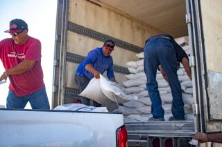 Entregan en Meoqui 20.5 toneladas de maíz a productores 