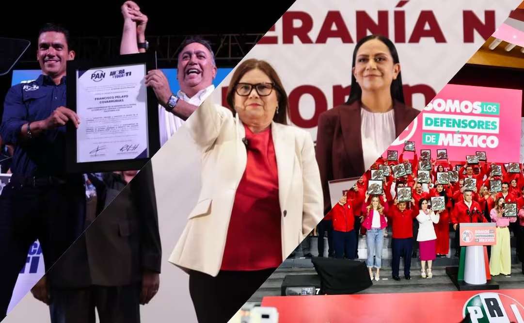 Burlan partidos leyes electorales con figuras de defensores 