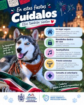 Llama Municipio a cuidar de las mascotas durante Fiestas Patrias