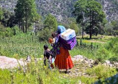 Llevan NutriChihuahua a comunidades de difícil acceso en la Sierra 