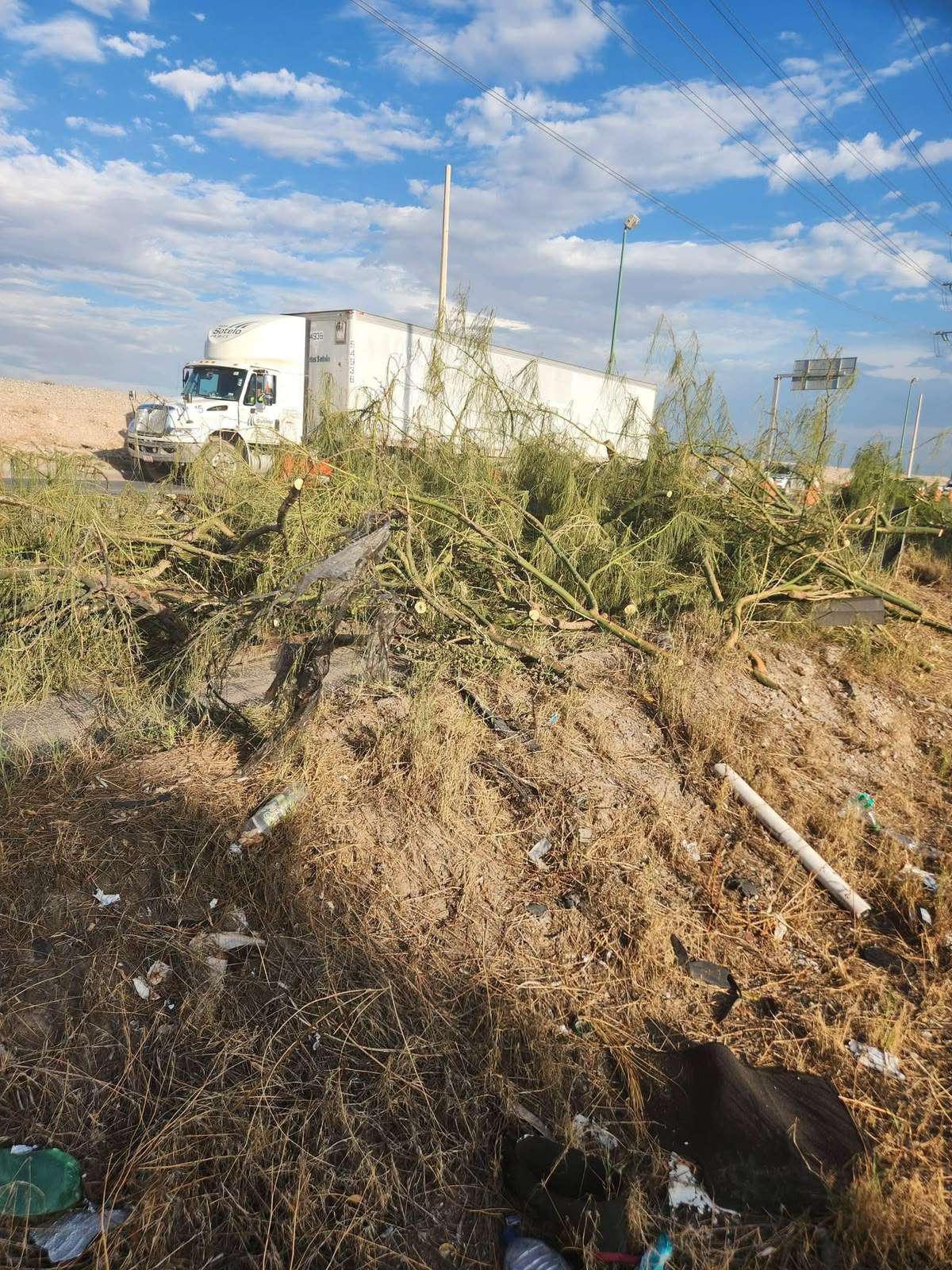 Exhiben retiro masivo de árboles por obras del puente de Valle del Sol