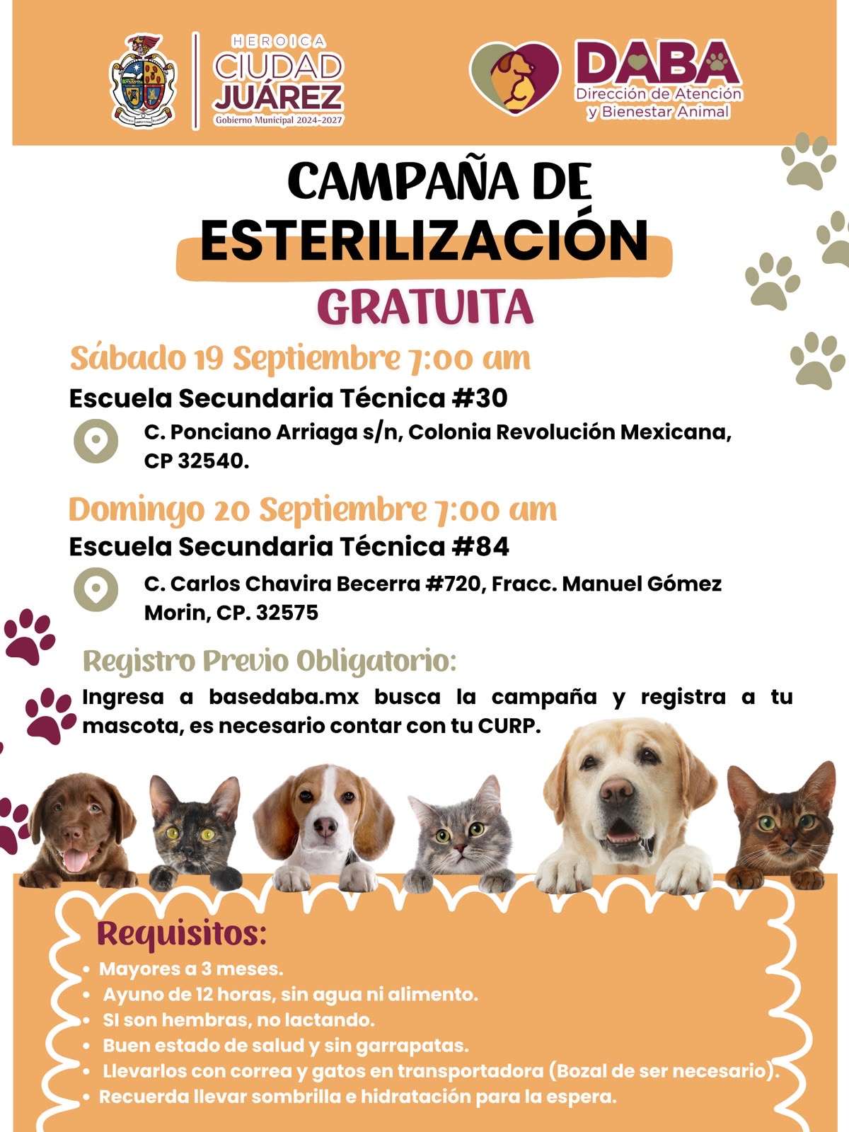 Esterilizarán gratis a mascotas este fin de semana