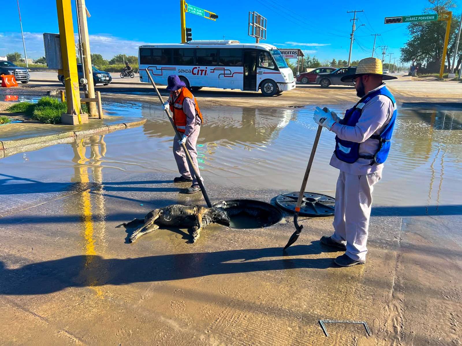 Realiza limpieza de drenaje sanitario en Juárez Porvenir