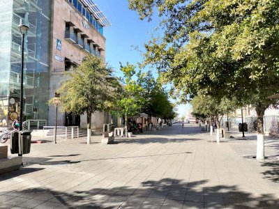 Marcará equinoccio el inicio del otoño este 22 de septiembre