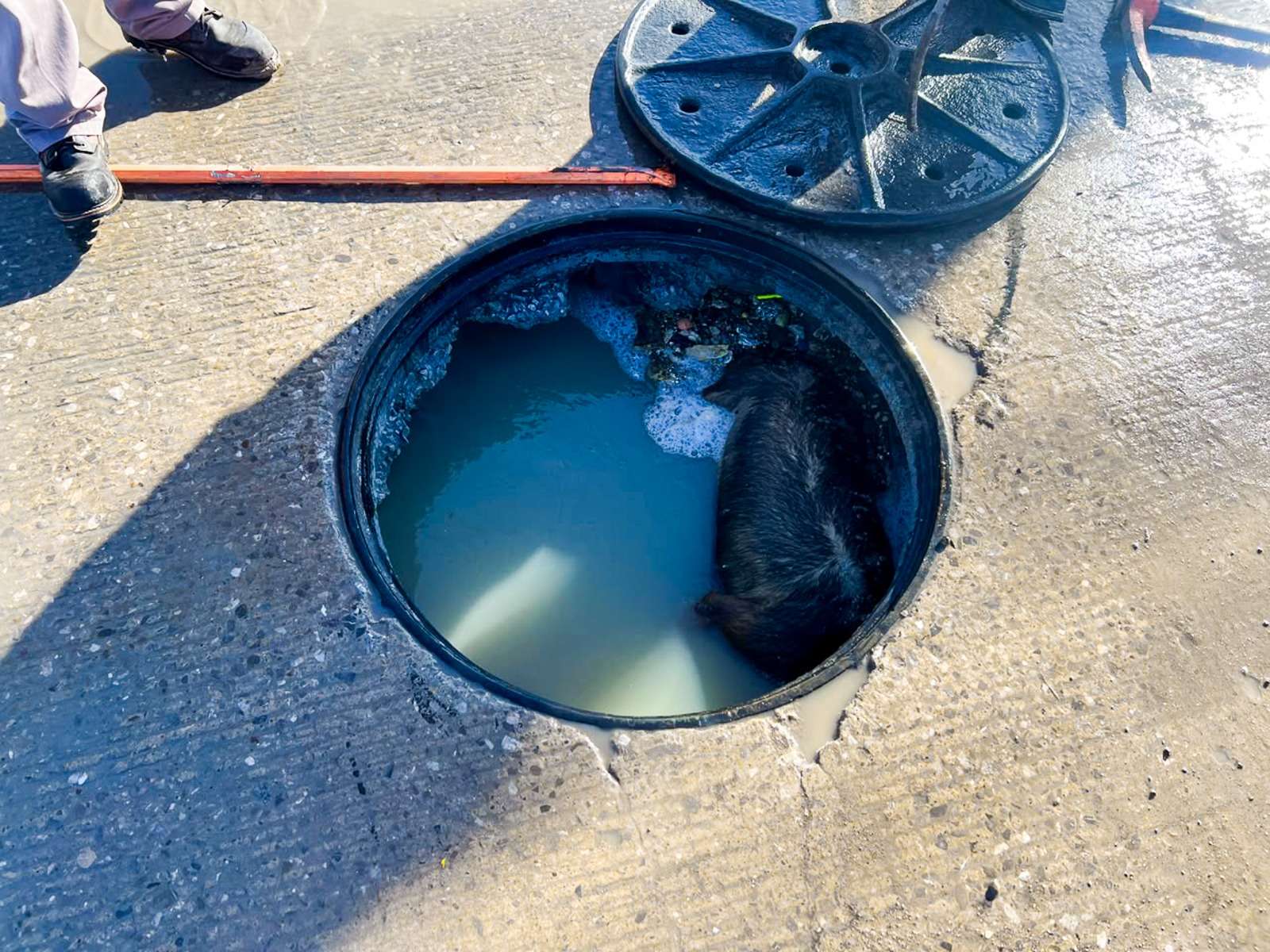 Realiza limpieza de drenaje sanitario en Juárez Porvenir