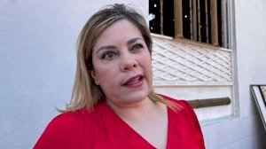 Malinterpretan ofrecimiento de candidatura a Andrea: Lilia Aguilar 