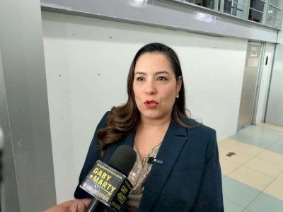 Veto a término narcopartido no borra percepción sobre Morena: Joss