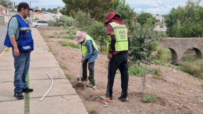 Rehabilitan sistema de riego del parque Santa María