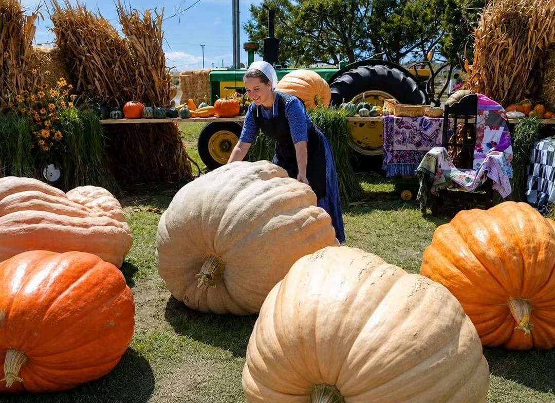 Rompe récord en Cuauhtémoc la calabaza más grande de México