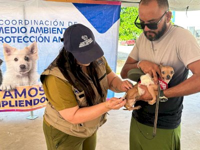 Brindan más de 940 servicios gratuitos para mascota en Vistas Cerro Grande