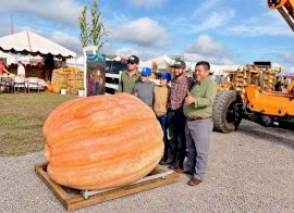 Rompe récord en Cuauhtémoc la calabaza más grande de México