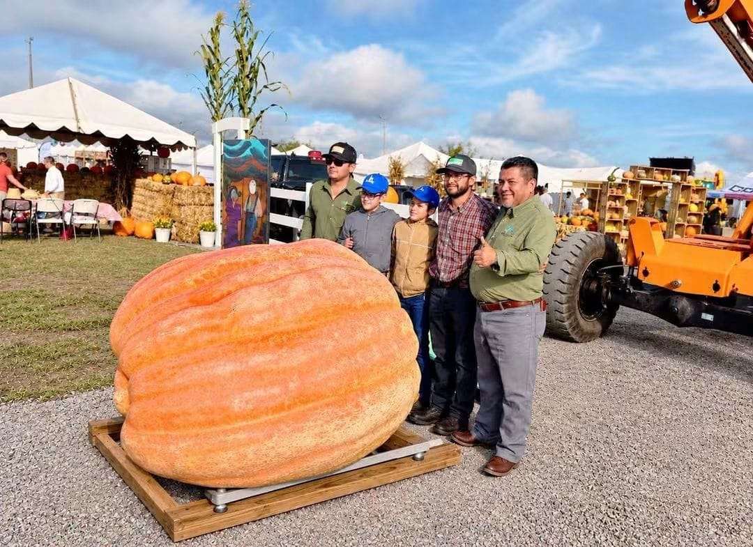 Rompe récord en Cuauhtémoc la calabaza más grande de México
