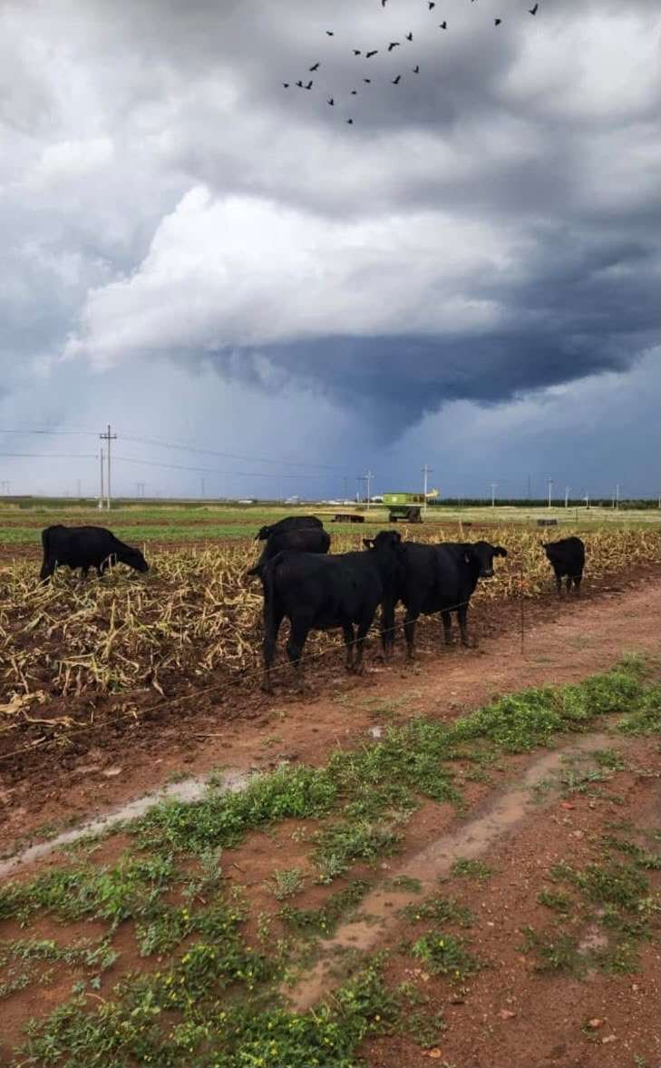 Mantiene Protección Civil vigilancia y alerta amarilla por lluvias en el estado