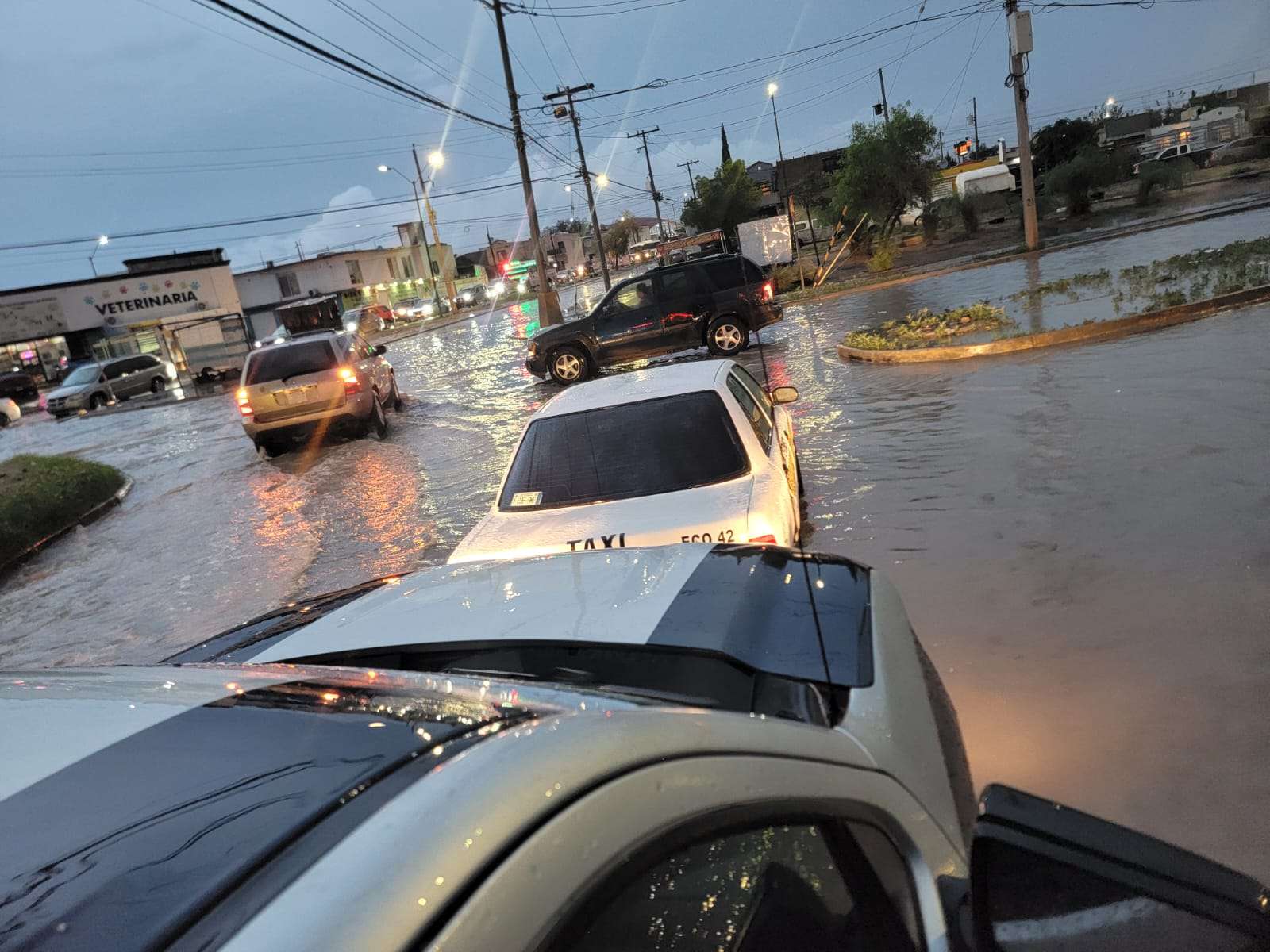 Reactivan municipales protocolo por lluvias, dan más de 70 servicios 