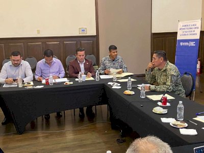 Analizan estrategia contra tala clandestina en Chihuahua