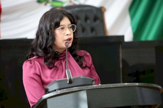 Exhibe Jael Argüelles presuntos vicios de reforma electoral