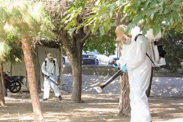 Aumentan solicitudes de fumigación por lluvias 