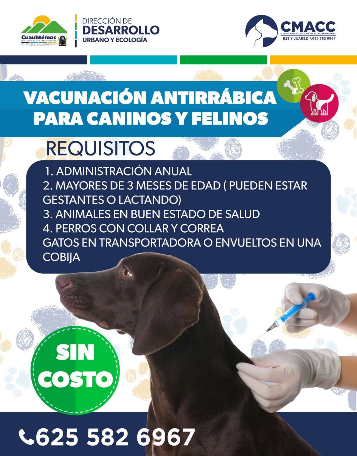 Ofrecen vacuna antirrábica gratuita para mascotas en Cuauhtémoc