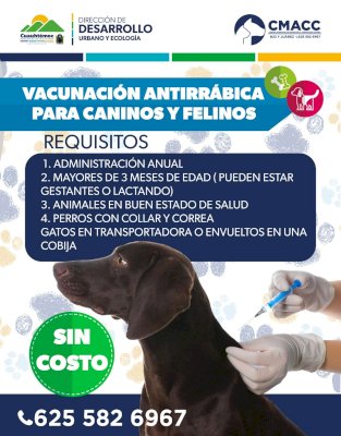 Ofrecen vacuna antirrábica gratuita para mascotas en Cuauhtémoc