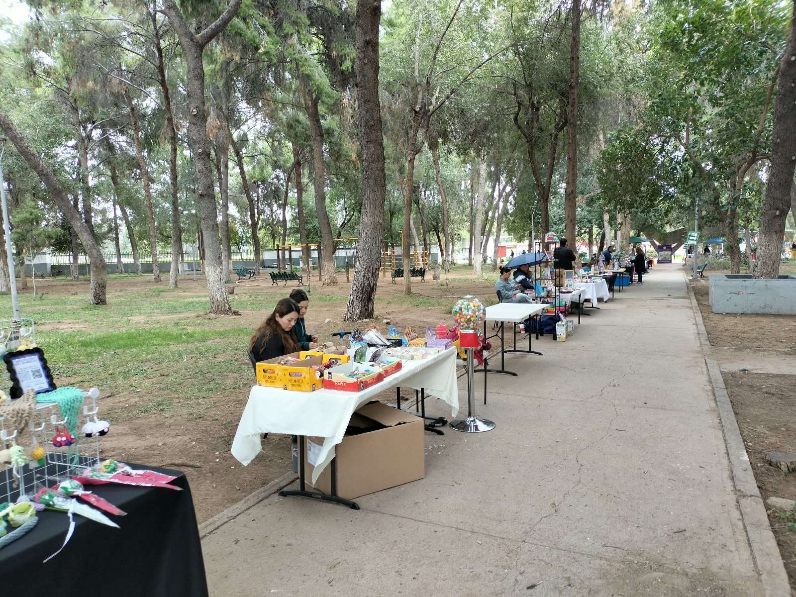 Reduce lluvia asistencia al Domingo Feliz en Chihuahua