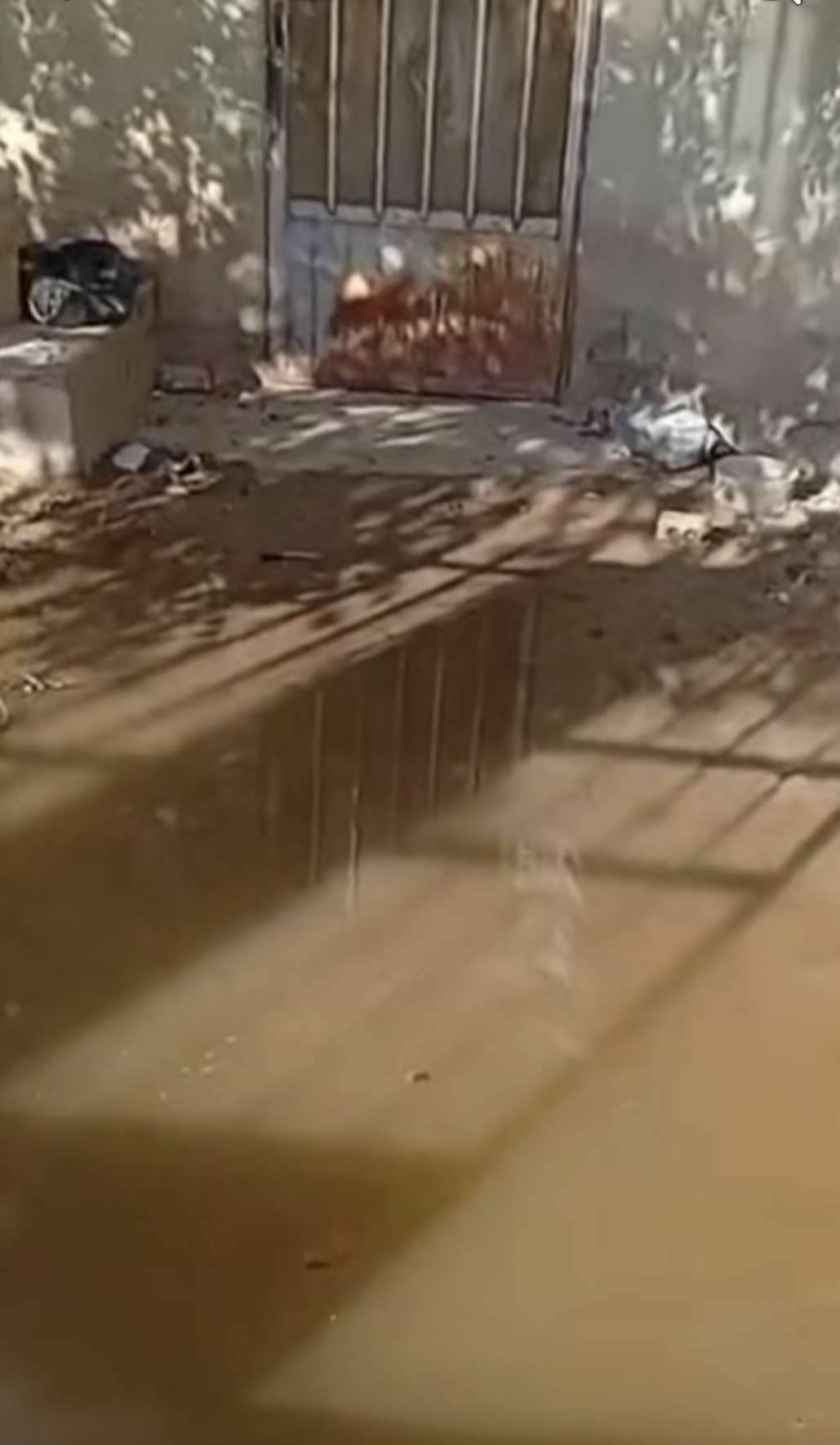 Aguas negras invaden viviendas en Anapra tras lluvias