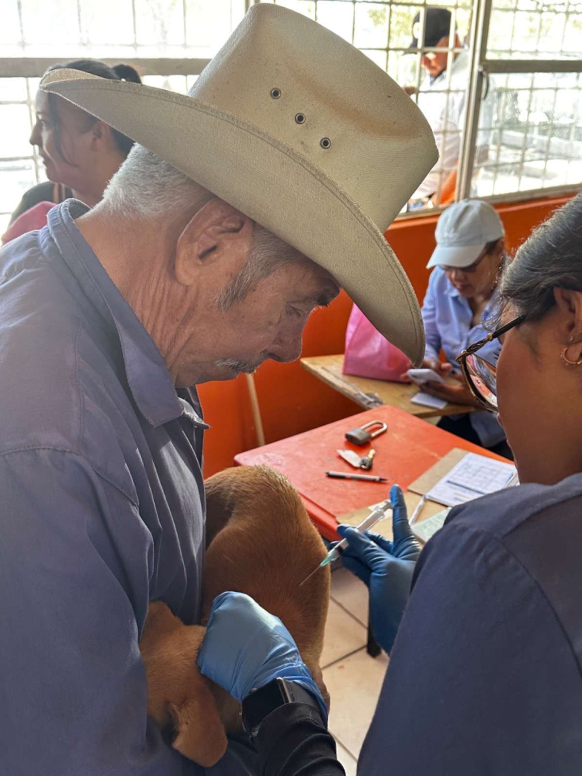 Llevan campaña de esterilización a comunidades 
