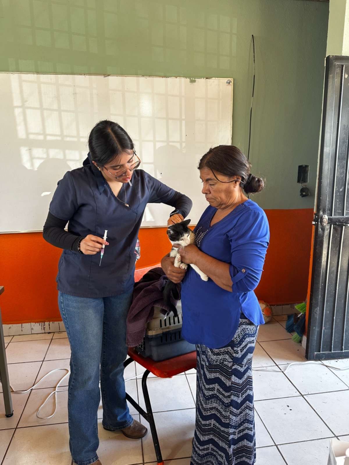 Llevan campaña de esterilización a comunidades 