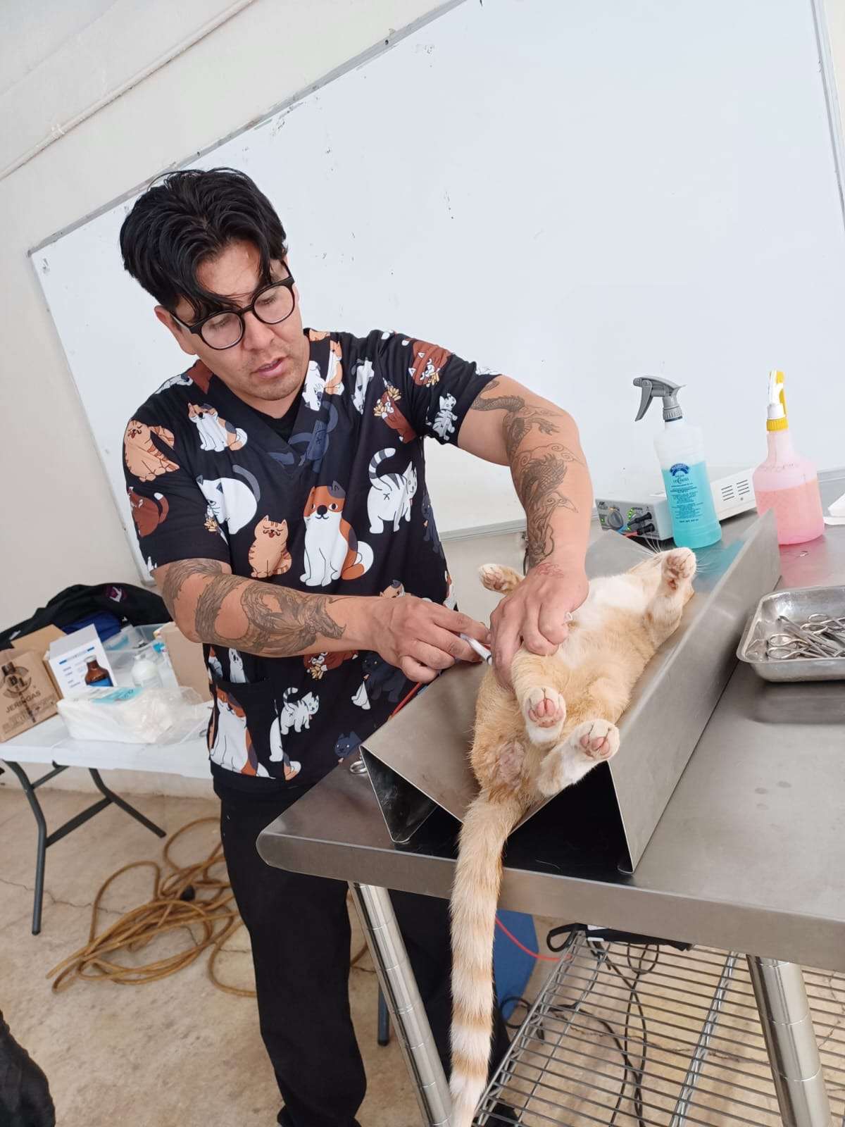 Llevan campaña de esterilización a comunidades 