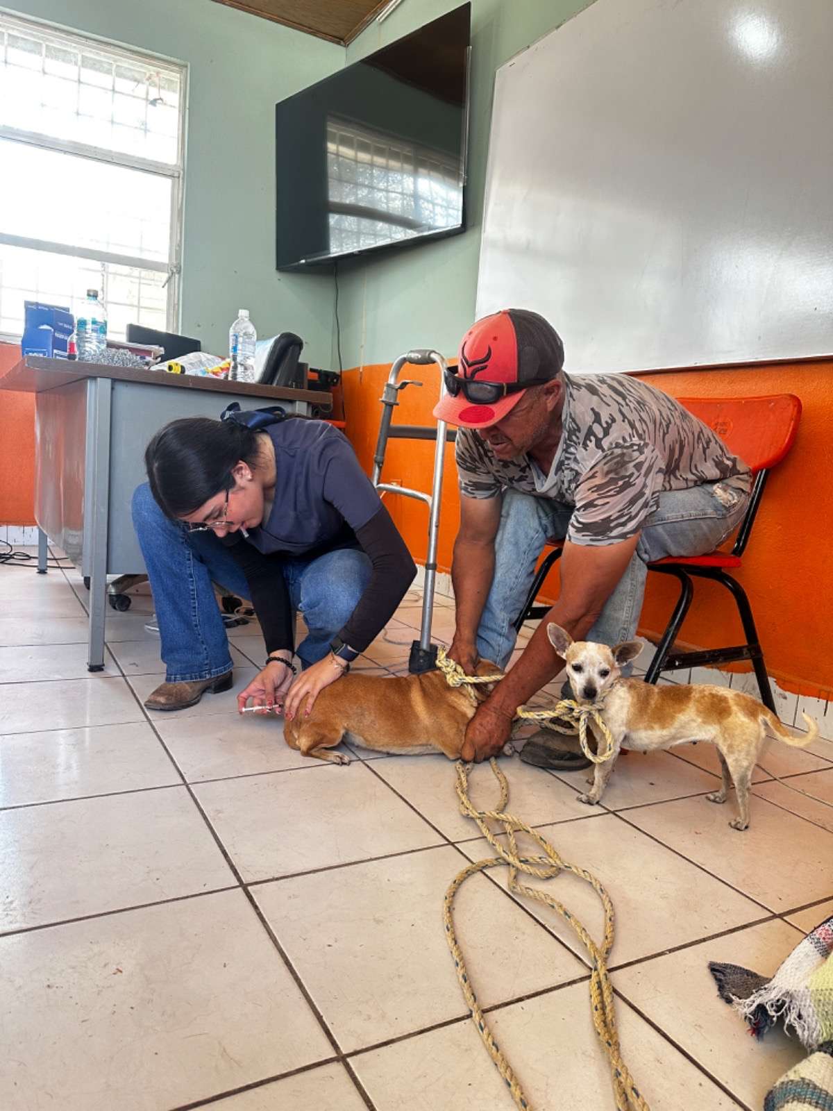 Llevan campaña de esterilización a comunidades 