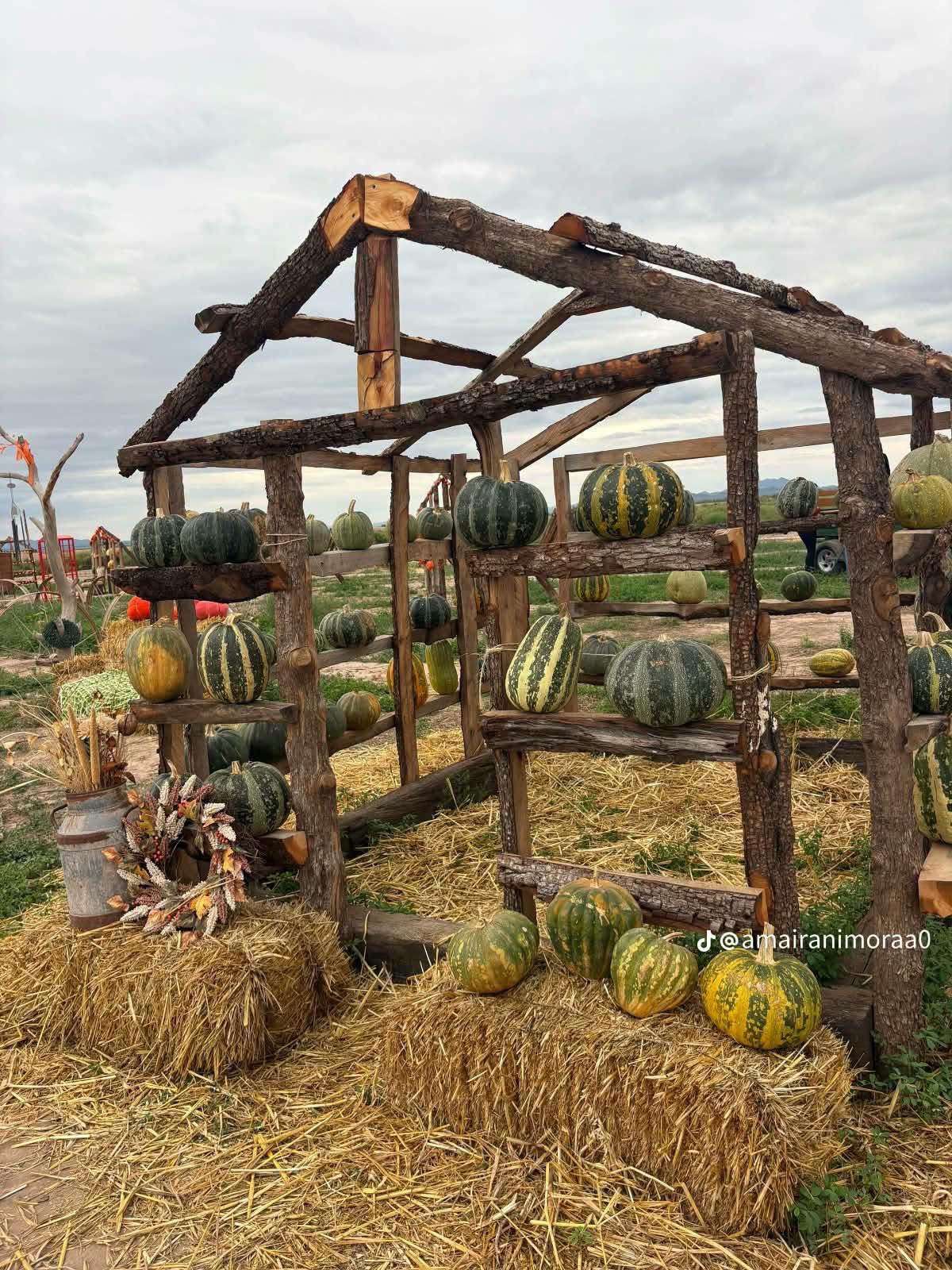 Atrae Festival de Calabazas al rancho El Tatán en Ahumada 