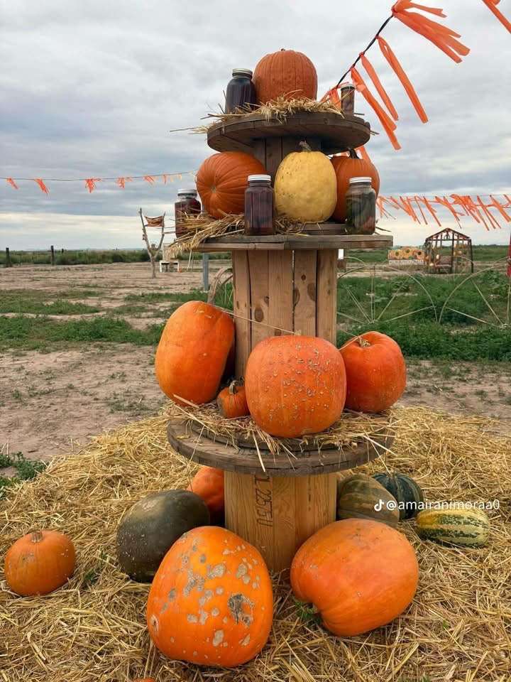 Atrae Festival de Calabazas al rancho El Tatán en Ahumada 