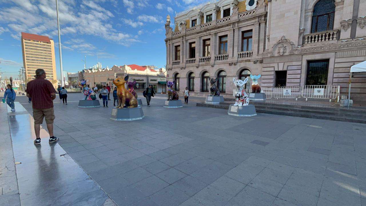 Cautivan esculturas de perros Chihuahua a visitantes del Centro