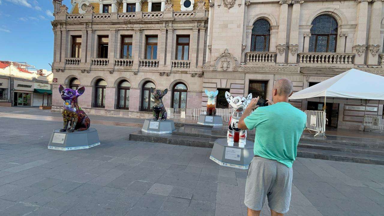 Cautivan esculturas de perros Chihuahua a visitantes del Centro