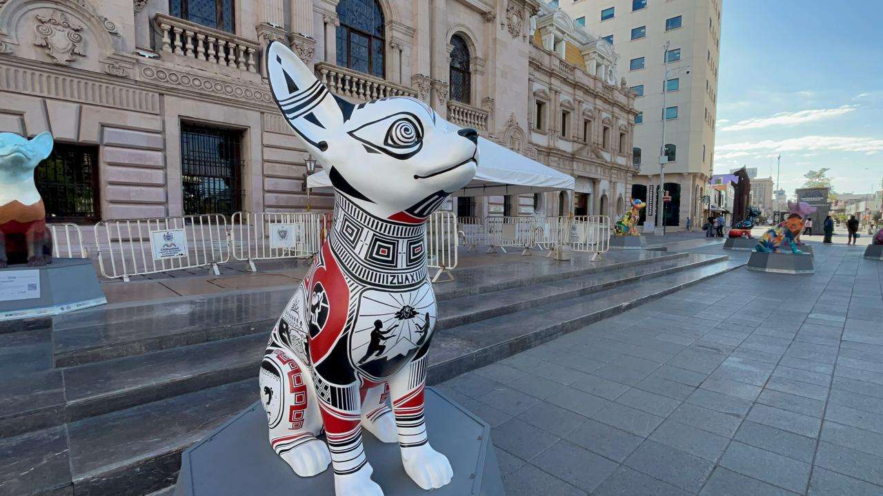 Cautivan esculturas de perros Chihuahua a visitantes del Centro
