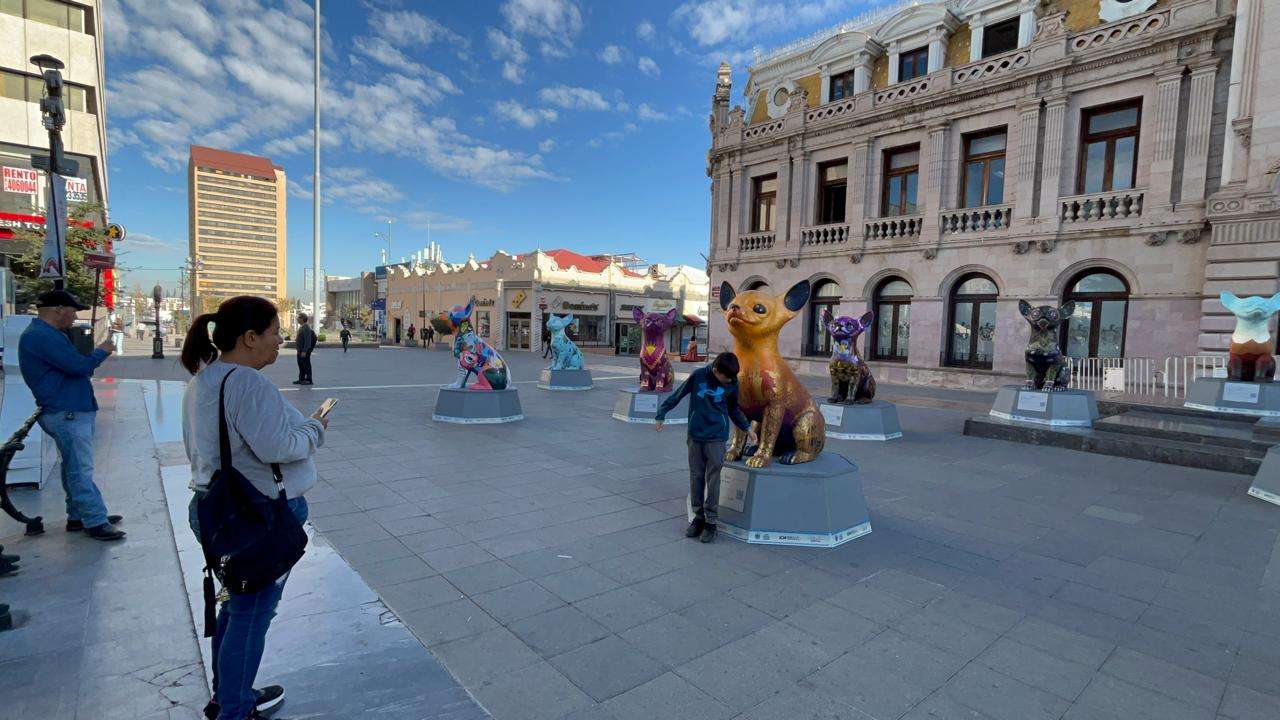 Cautivan esculturas de perros Chihuahua a visitantes del Centro
