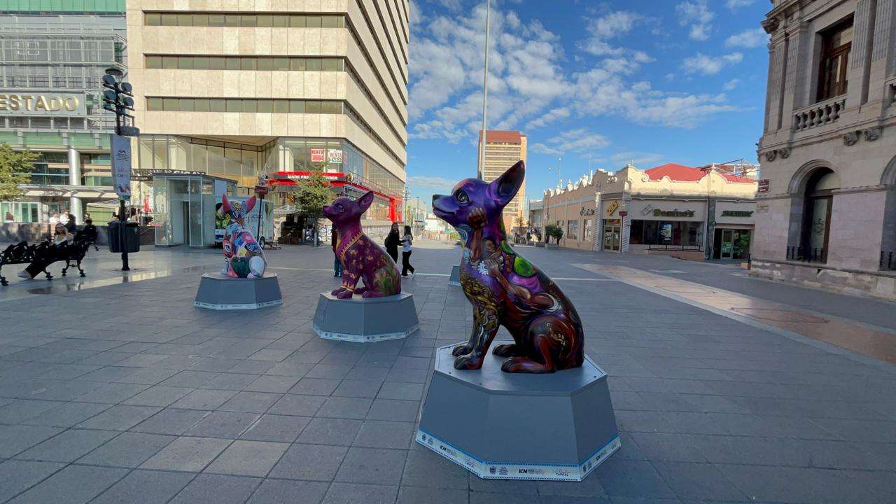 Cautivan esculturas de perros Chihuahua a visitantes del Centro