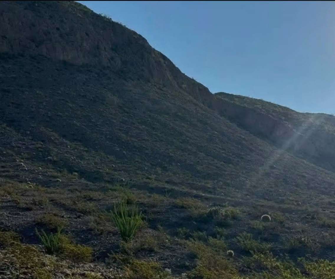 Transforman lluvias el paisaje de la Sierra de Juárez 
