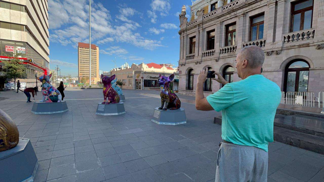 Cautivan esculturas de perros Chihuahua a visitantes del Centro