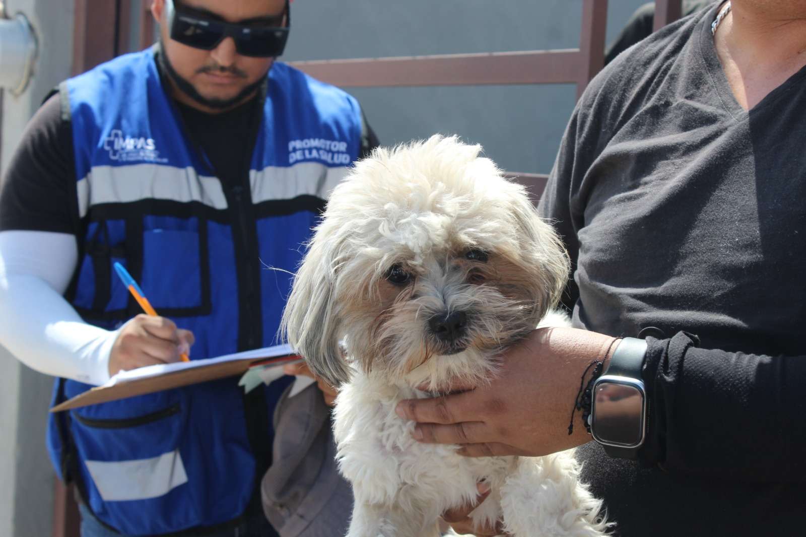 Llama Impas a prevenir la rickettsia ante humedad por lluvias