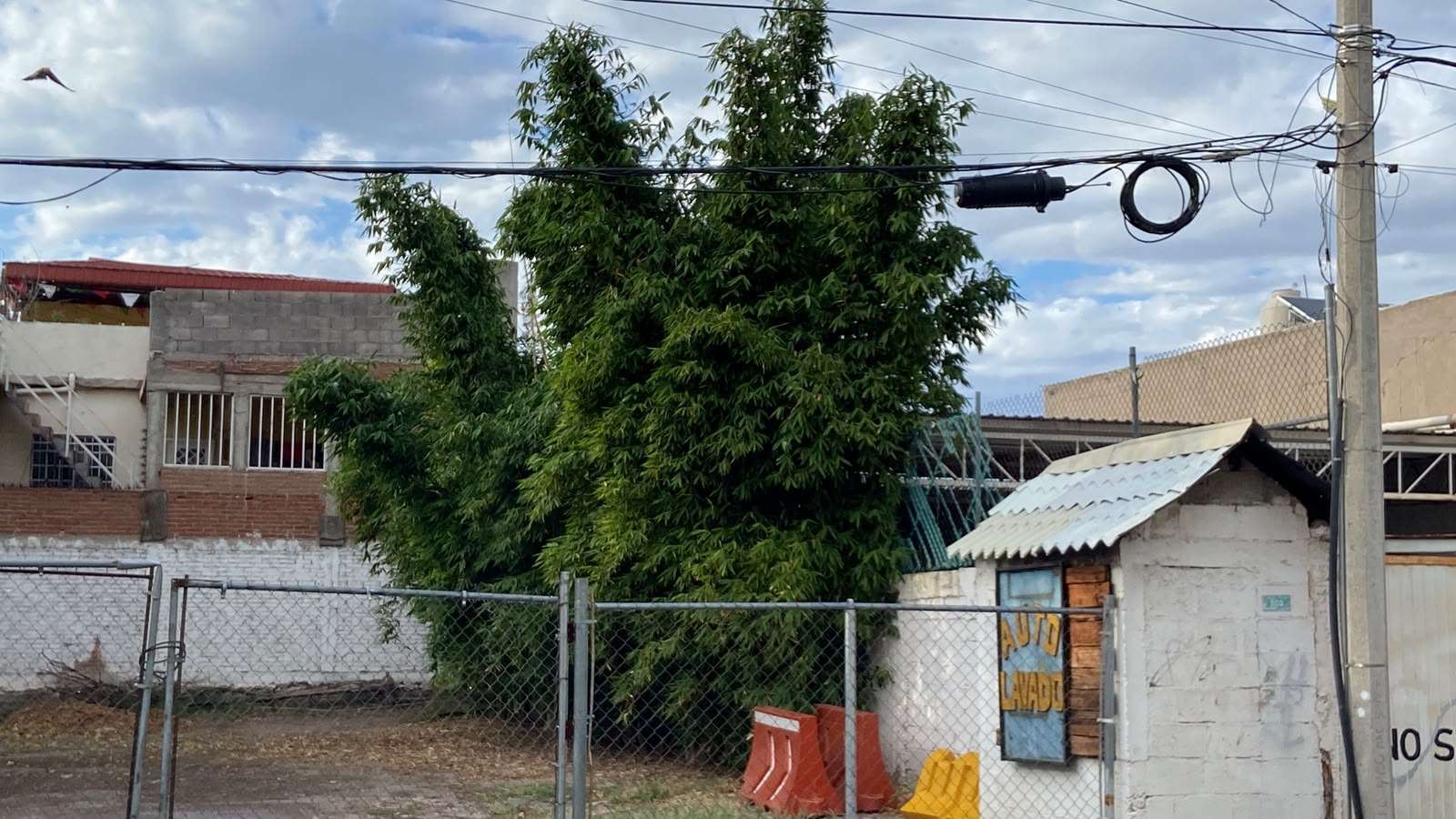 Cae lluvia ligera en el centro de Chihuahua