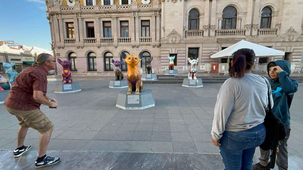 Cautivan esculturas de perros Chihuahua a visitantes del Centro