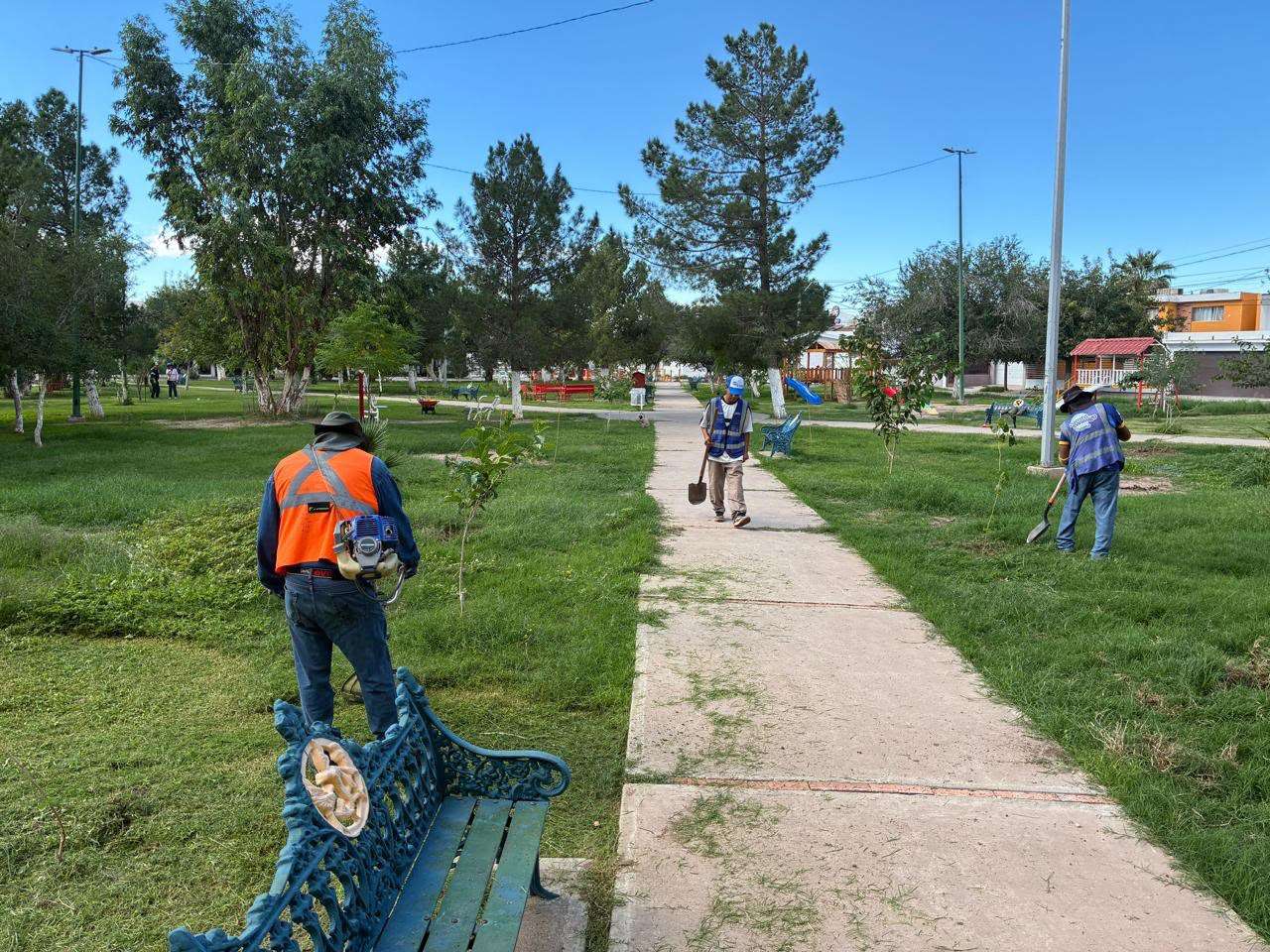 Reforestan parque de la Monumental con 150 árboles
