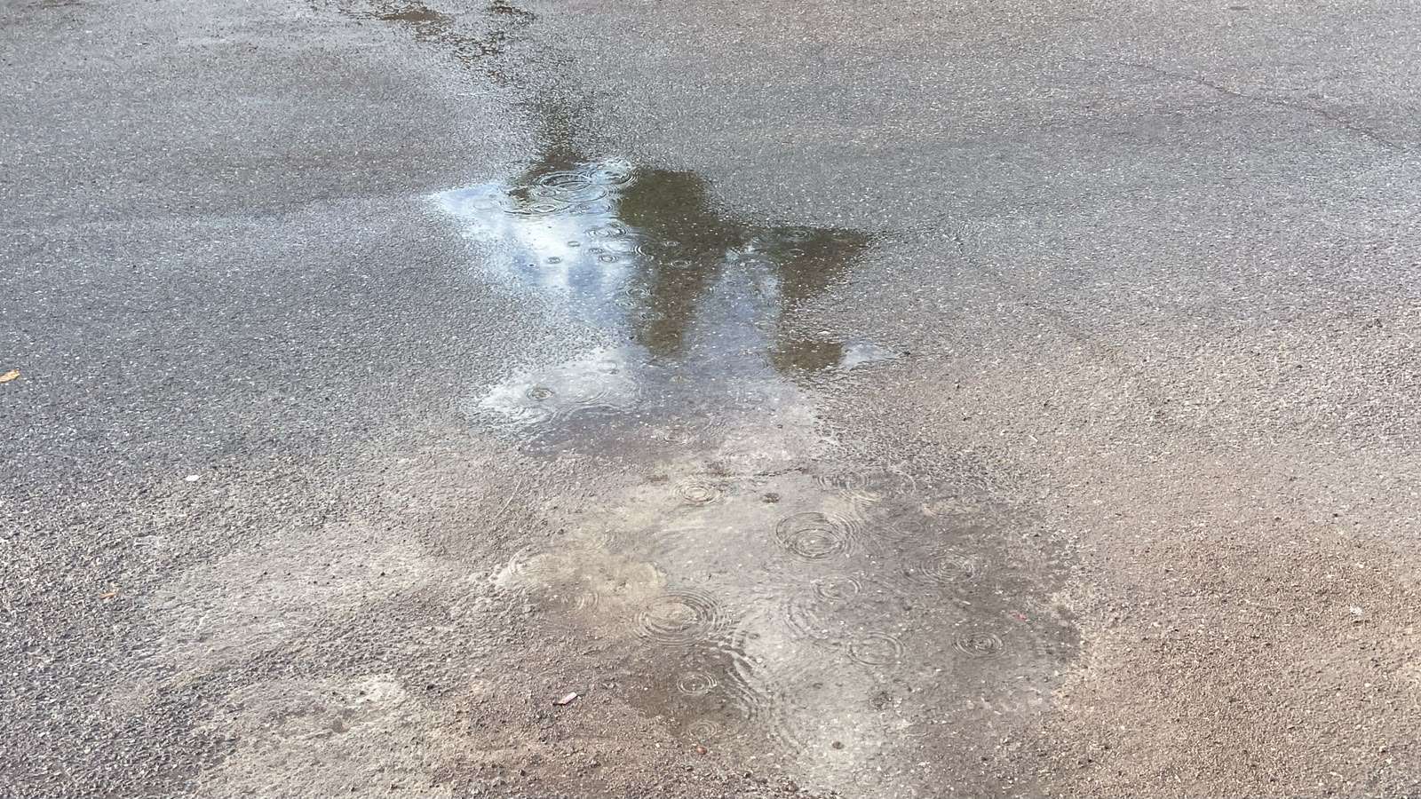 Cae lluvia ligera en el centro de Chihuahua