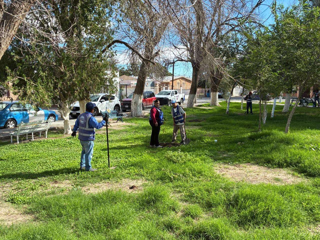 Reforestan parque de la Monumental con 150 árboles