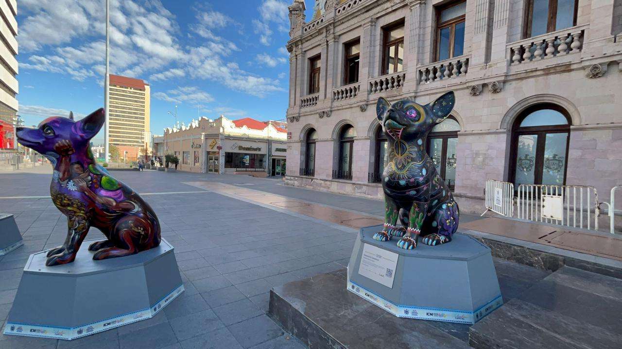 Cautivan esculturas de perros Chihuahua a visitantes del Centro