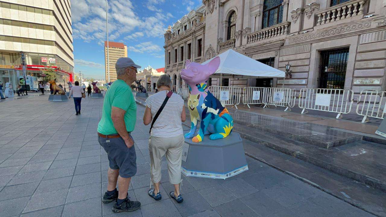Cautivan esculturas de perros Chihuahua a visitantes del Centro