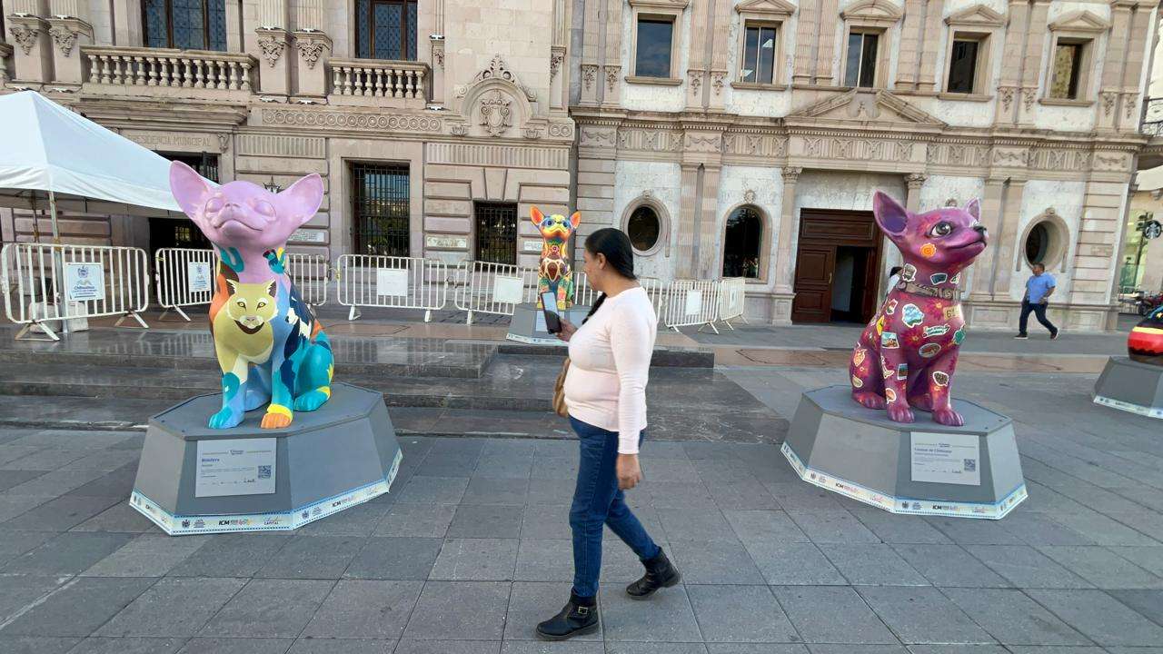 Cautivan esculturas de perros Chihuahua a visitantes del Centro
