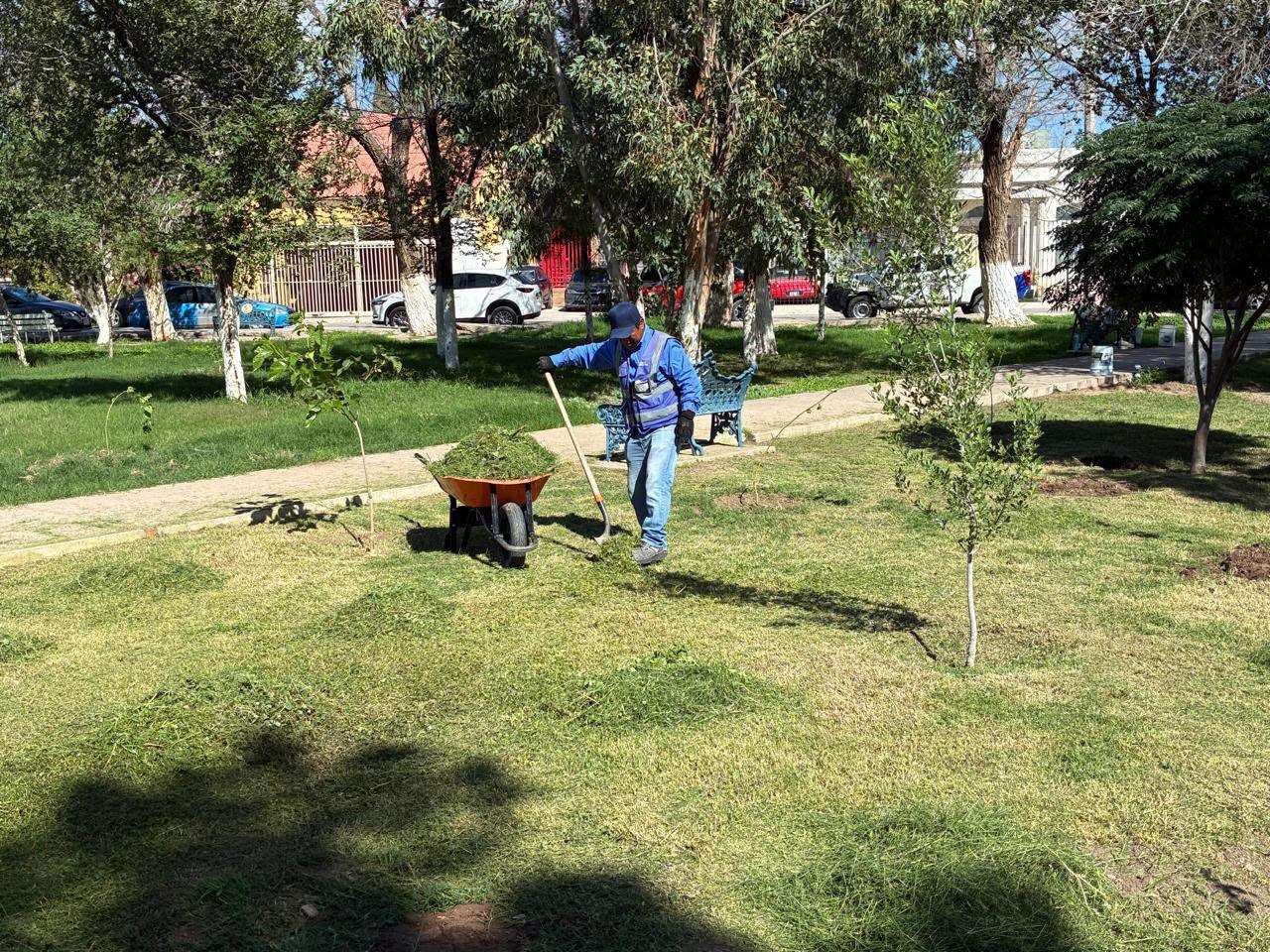 Reforestan parque de la Monumental con 150 árboles