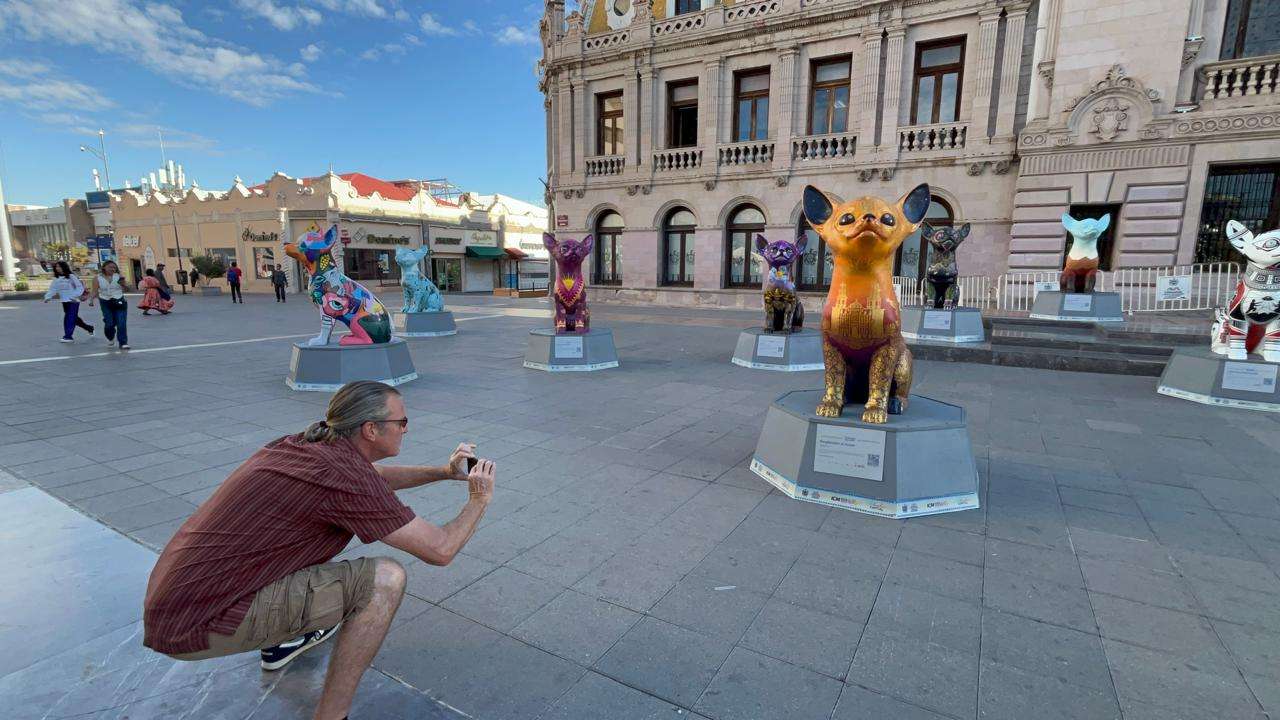 Cautivan esculturas de perros Chihuahua a visitantes del Centro