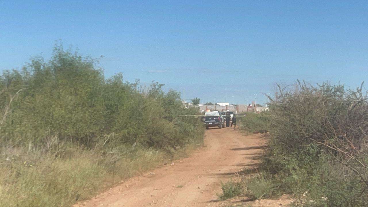 Hallan cuerpo con huellas de violencia en Granjas Sacramento